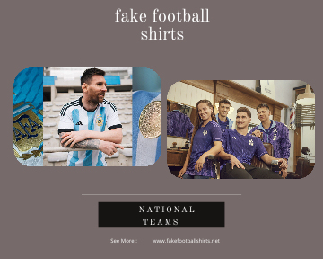 fake Argentina football shirts 23-24